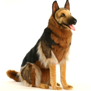 hansa german shepherd